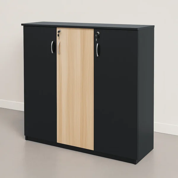 Partical Black Shoe Rack