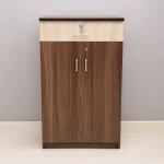 Shoe Rack Oak Finish