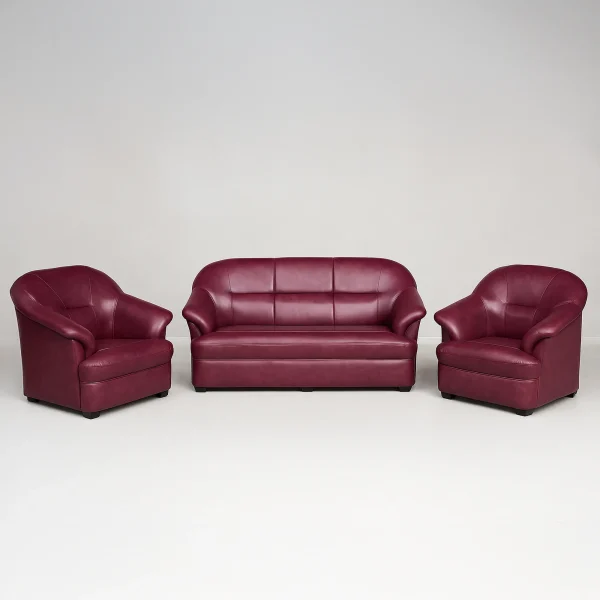 Classic 3-Piece Leather Living Room Red sofa Set