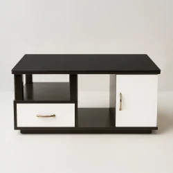 Apollo Modern Multi-Storage Coffee Table